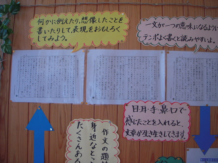 Photo_3