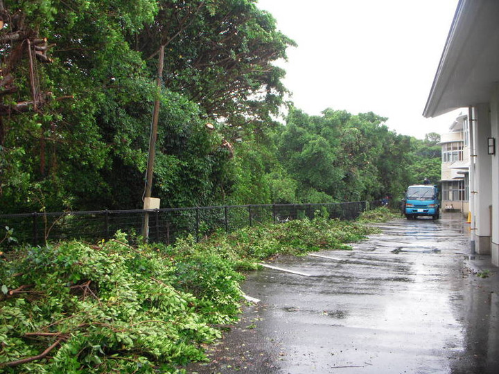 Photo_7
