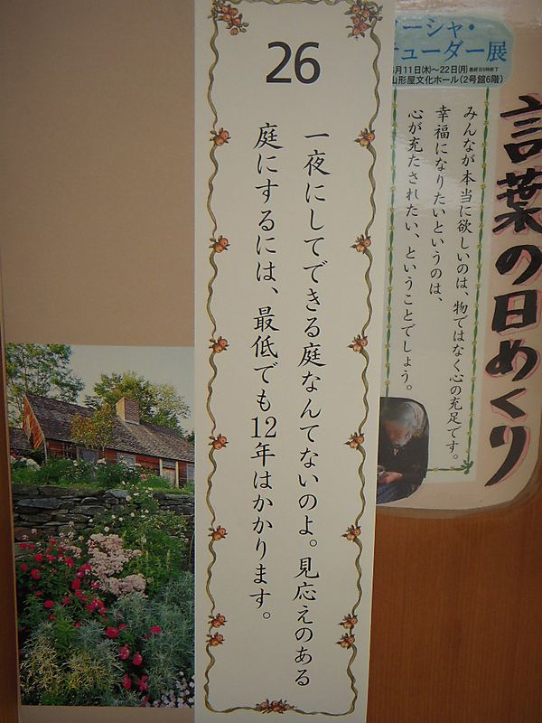 Dscn1939