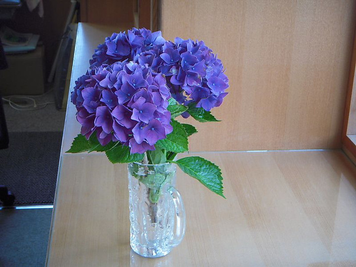 Dscn1977