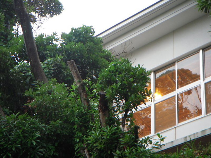 Dscn2291