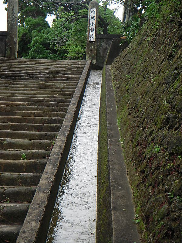 Photo_2