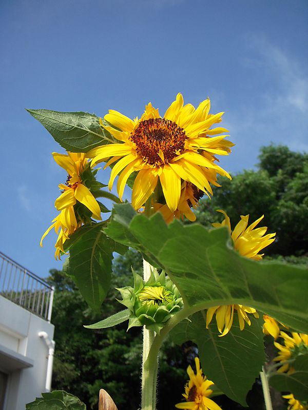 Dscn2405