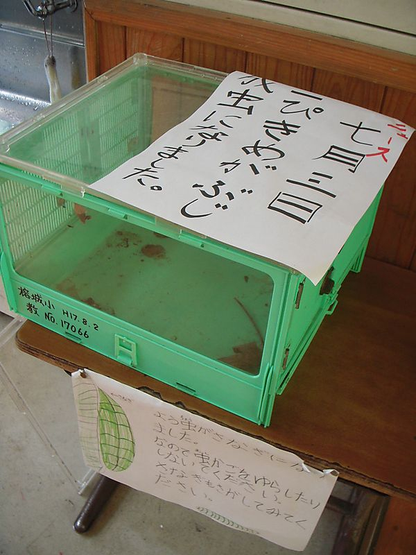 Dscn2377