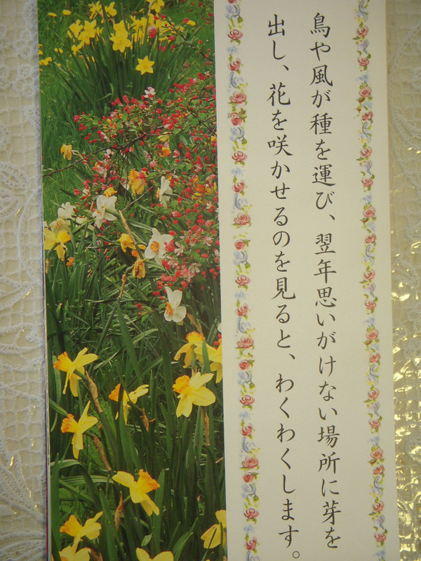 Dscn2694
