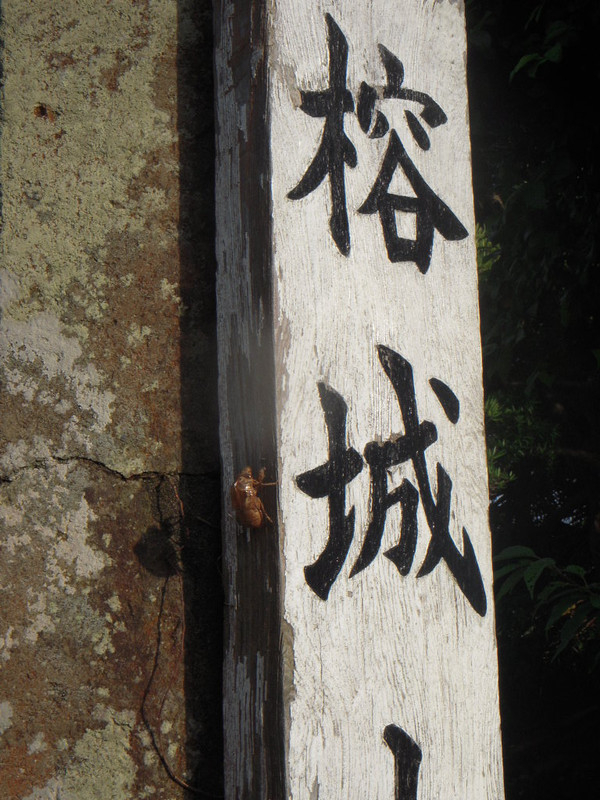 Dscn2722