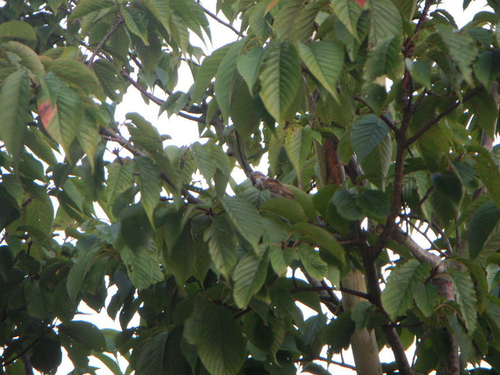 Dscn3171