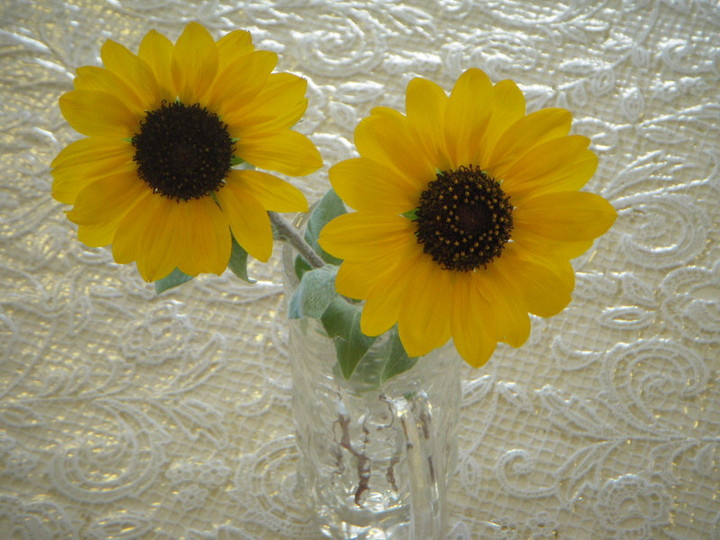 Dscn3122