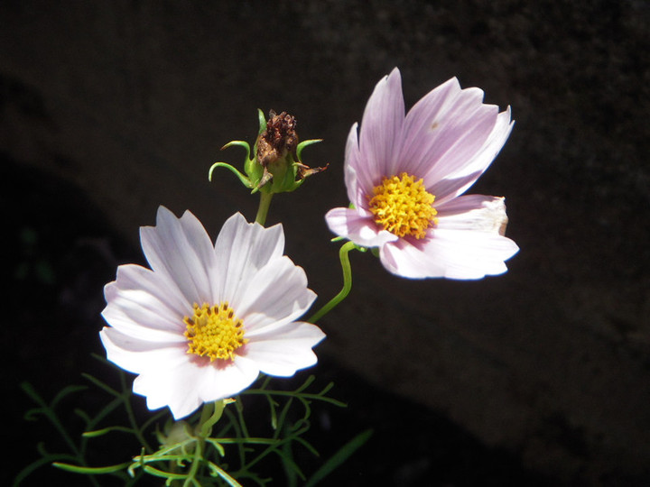 Dscn3180