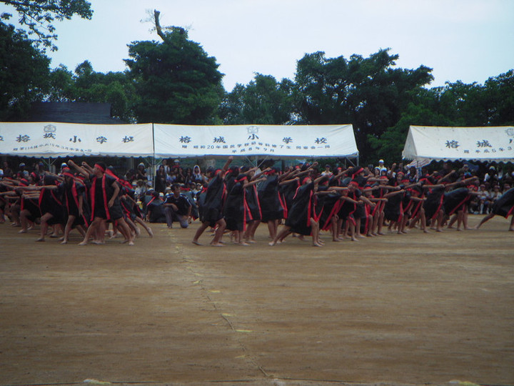 Dscn3527