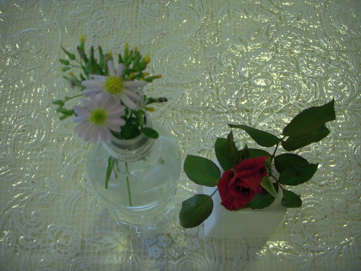 Dscn3900