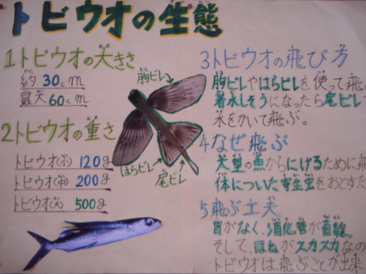 Dscn3970