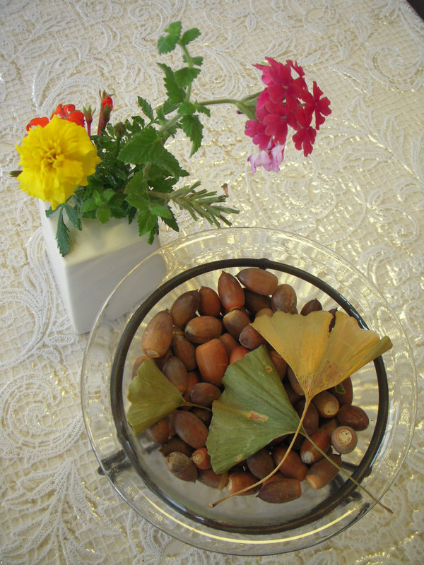 Dscn4023