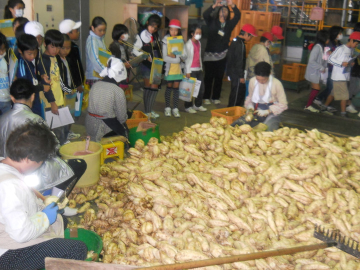 Dscn0086