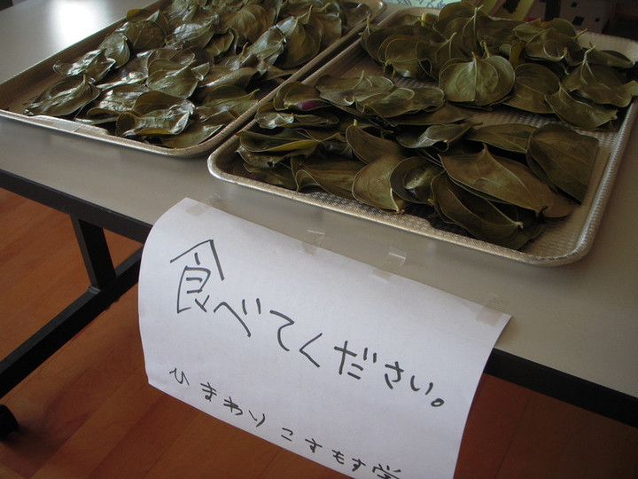 Dscn5166