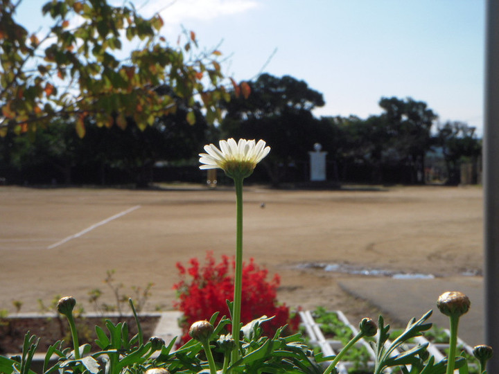 Dscn5318