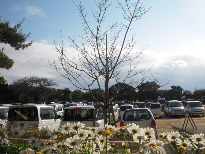 Dscn0190