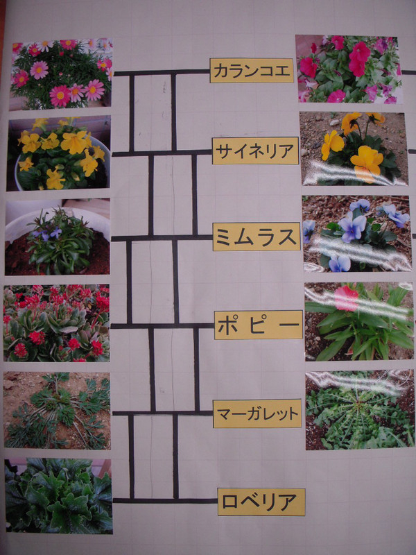 Dscn0205