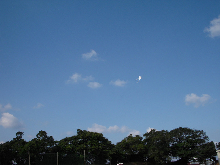 Dscn0311