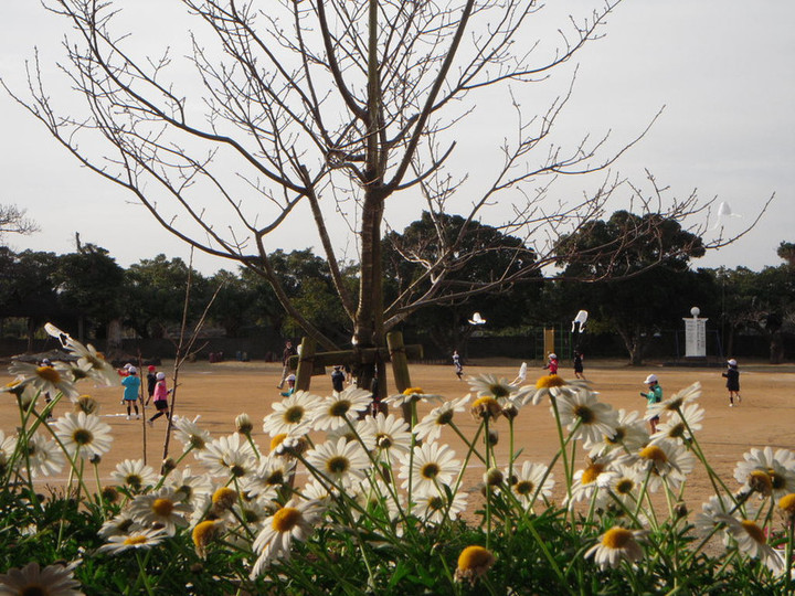 Dscn0321