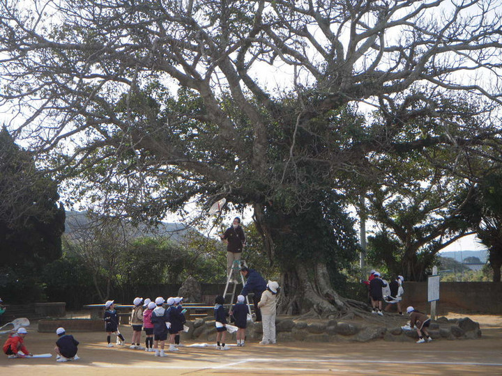 Dscn0324