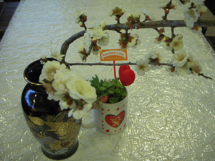 Dscn0495