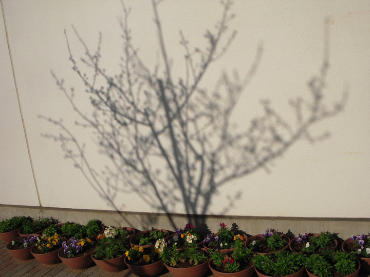 Dscn0613