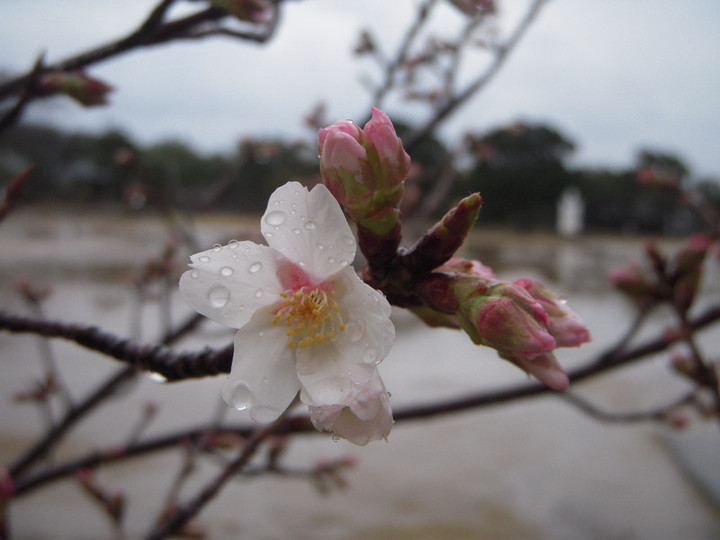 Dscn0647