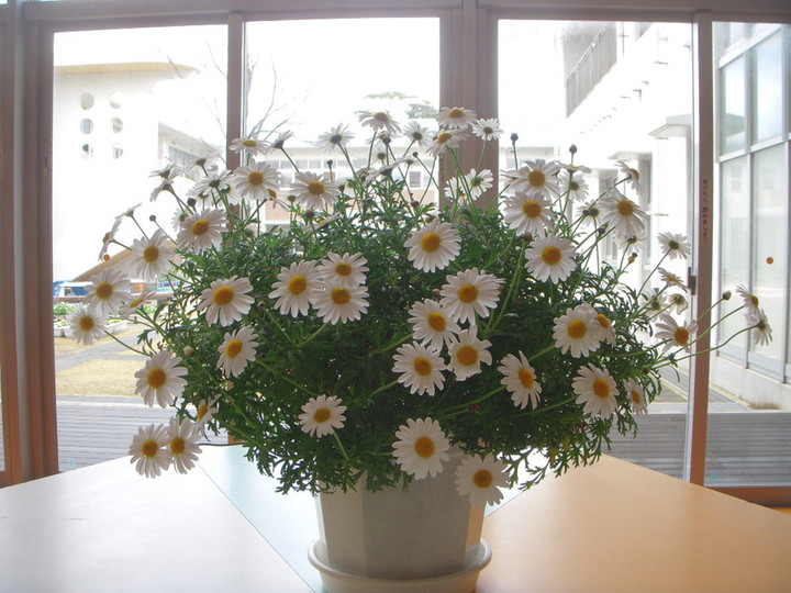 Dscn0671