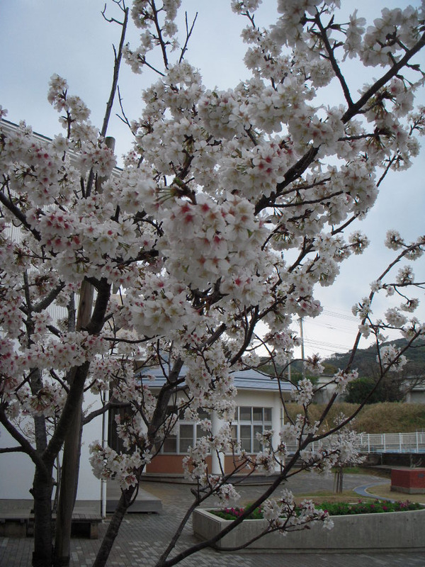 Dscn0739