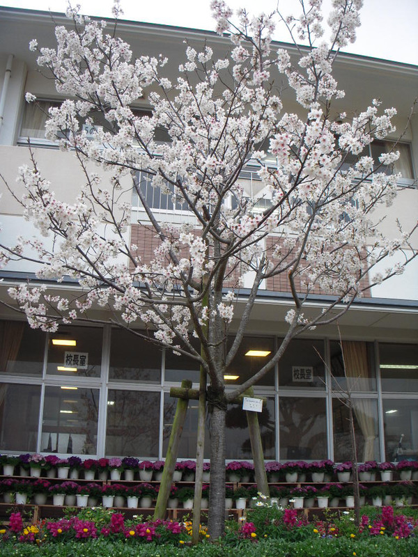Dscn0740