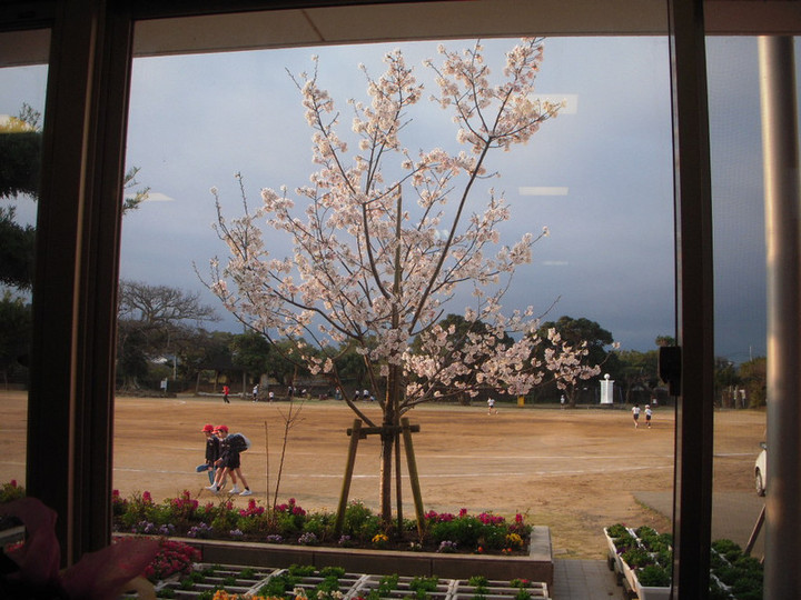 Dscn0749