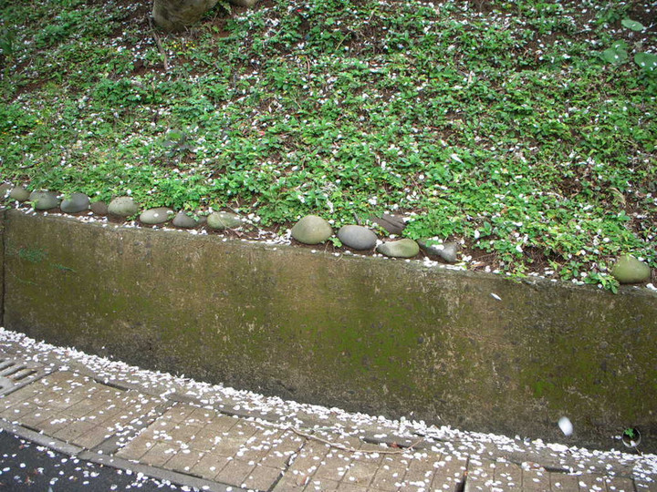Dscn0989