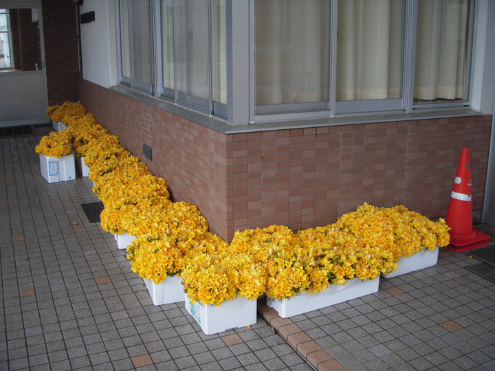 Dscn1029