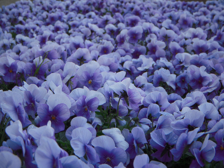 Dscn1164
