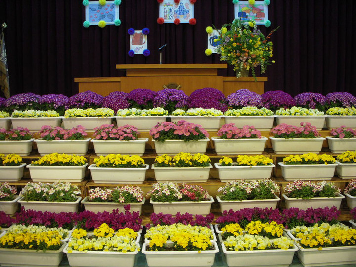 Dscn1239