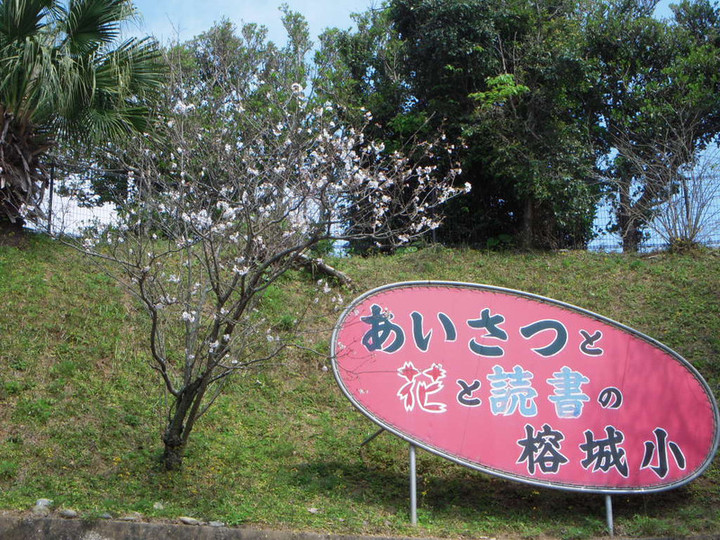 Dscn1196