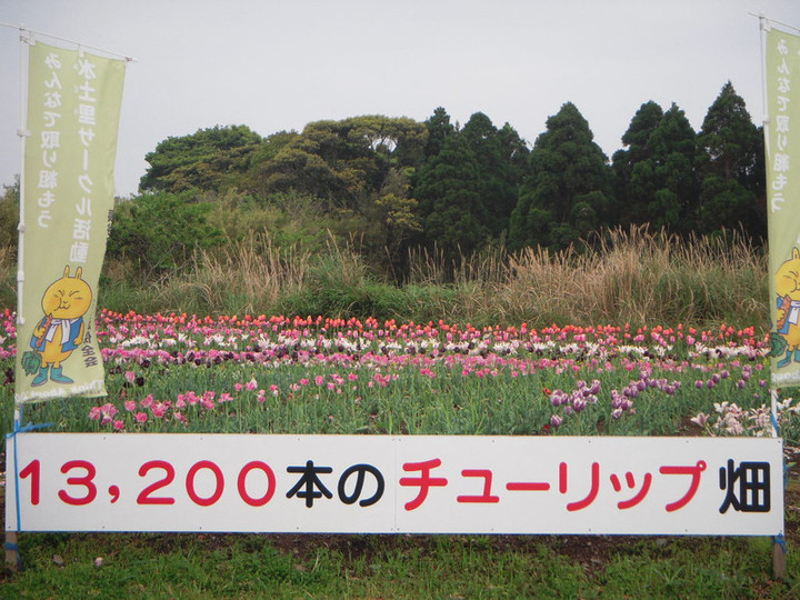 Dscn1381