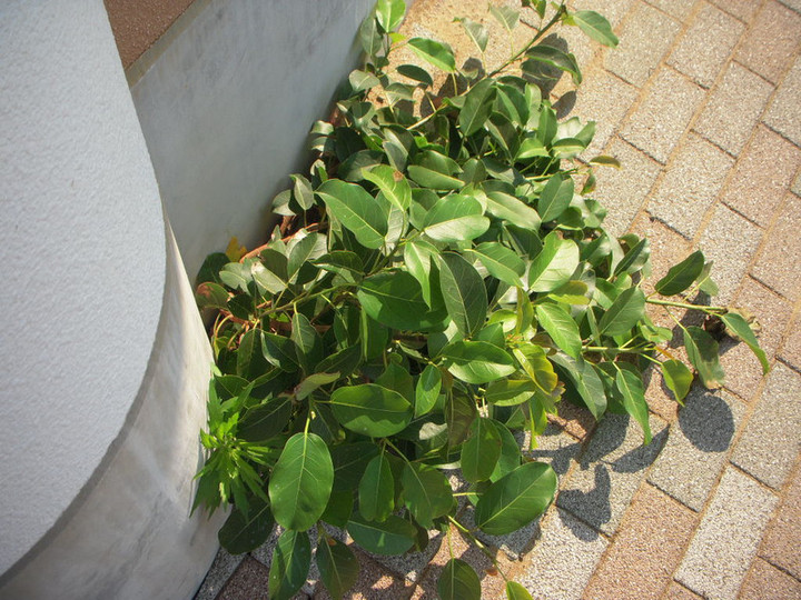 Dscn1833