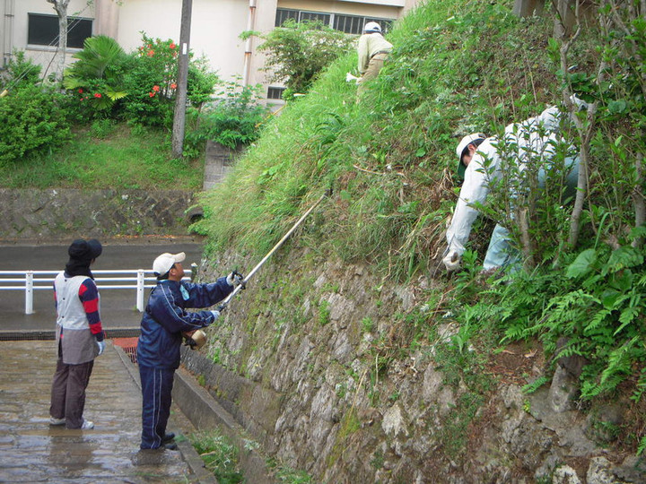 Dscn1884
