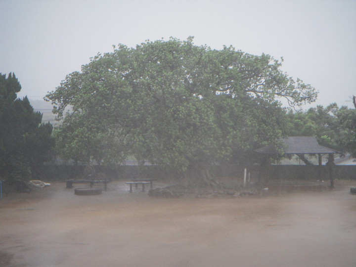 Dscn1982