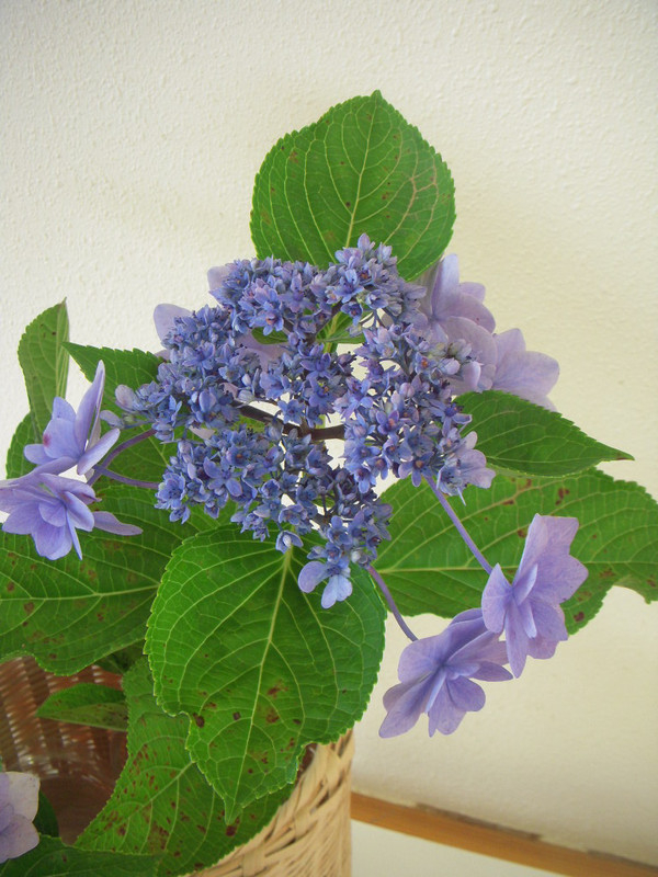 Dscn2198