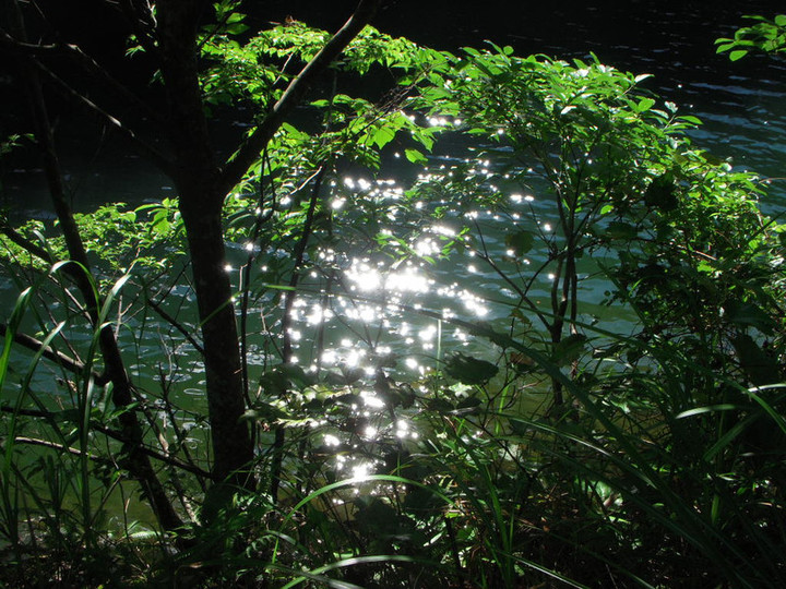 Dscn0244