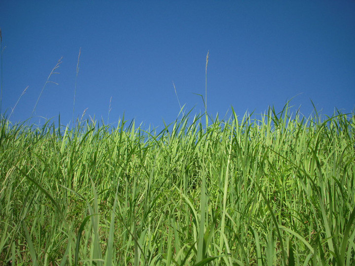 Dscn0254