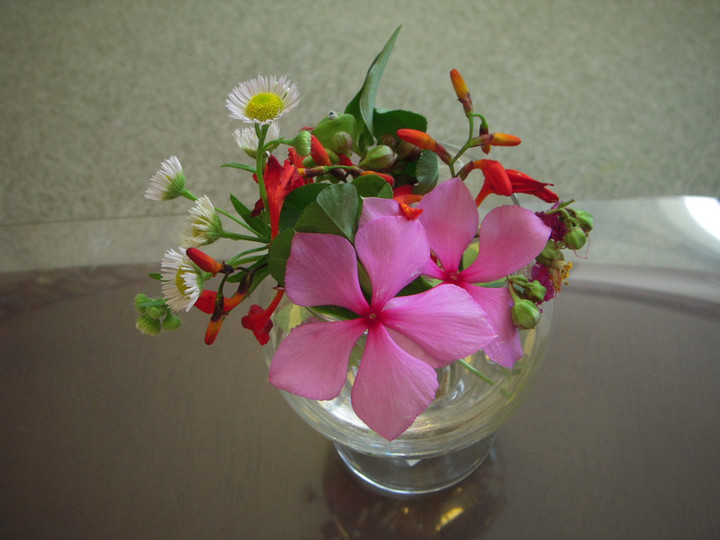 Dscn0193