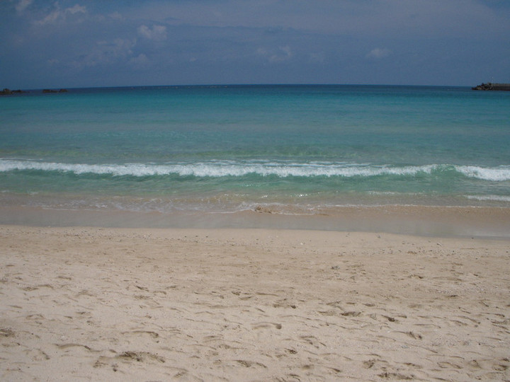 Dscn0465