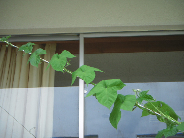 Dscn0502