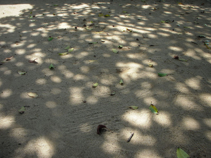 Dscn0535
