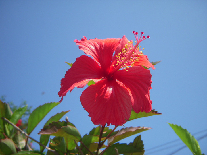Dscn0776
