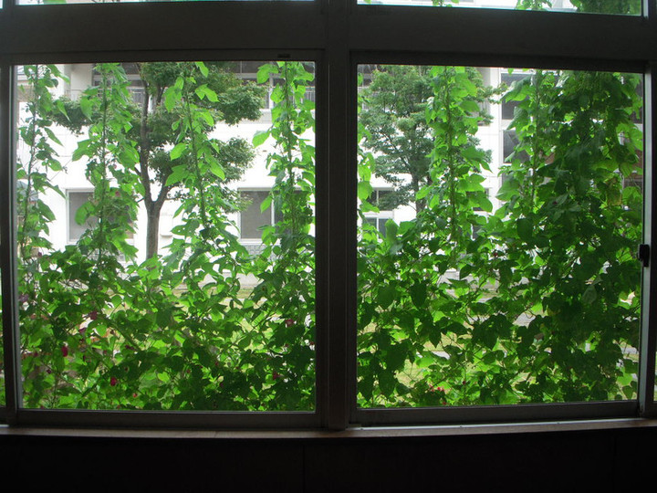 Dscn0660